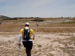 Work must have already been done planting grass seeds in this field! Grass starting to grow in the fields